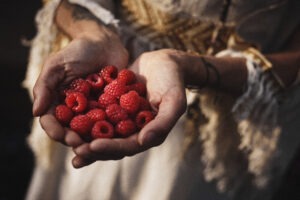 Ayurvedische Kochkunst & Ernährungsberatung - Himbeeren